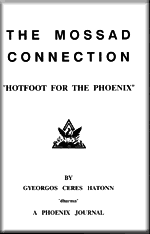 Phoenix Jouranl 20