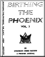 Phoenix Jouranl 224