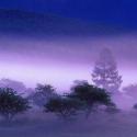 The Collection >> Photo Gallery - Four Winds 10