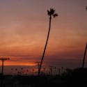 So Cal Fire Montage 4 >> Photo Gallery - Four Winds 10