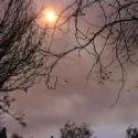 So Cal Fire Montage 4 >> Photo Gallery - Four Winds 10