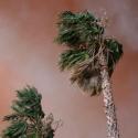 SoCal Fire Photo Montage 3 >> Photo Gallery - Four Winds 10