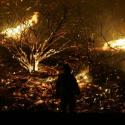 Orange County Fires >> Photo Gallery - Four Winds 10