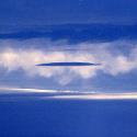The Collection >> Photo Gallery - Four Winds 10