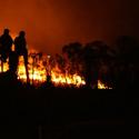 SoCal Fire Photo Gallery 2 >> Photo Gallery - Four Winds 10