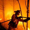 SoCal Fire Photo Gallery 2 >> Photo Gallery - Four Winds 10