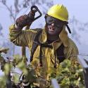 SoCal Fire Photo Gallery 2 >> Photo Gallery - Four Winds 10