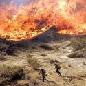 SoCal Fire Photo Gallery 2 >> Photo Gallery - Four Winds 10