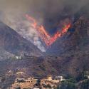So Cal Fire Montage 4 >> Photo Gallery - Four Winds 10