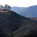 So Cal Fire Montage 4 >> Photo Gallery - Four Winds 10
