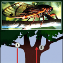 The Collection >> Photo Gallery - Four Winds 10