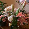Flowers, 2009 >> Photo Gallery - Four Winds 10