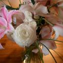 Flowers, 2009 >> Photo Gallery - Four Winds 10