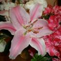 Flowers, 2009 >> Photo Gallery - Four Winds 10