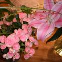 Flowers, 2009 >> Photo Gallery - Four Winds 10