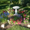 Flowers >> Photo Gallery - Four Winds 10