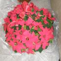 Flowers, 2009 >> Photo Gallery - Four Winds 10