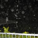 Orbs >> Photo Gallery - Four Winds 10