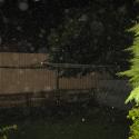 Orbs >> Photo Gallery - Four Winds 10