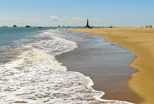 L'île Mystérieuse can be reached in 20 minutes from Royan and attracts holidaying families
