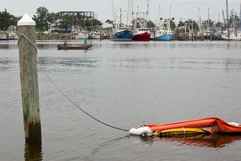 Boats in harbor.