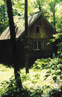 My son, Bill Spaulding’s hunting “shack” sits right in the middle of white oaks, which produce “grain from trees,” as some Indian tribes refer to acorns, and also lure big deer, which come to feed 