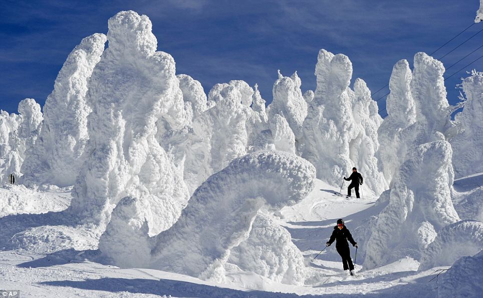 Skiers are dwarfed by ice-coated trees at the Zao Onsen ski resort at
 Zao, in northern Japan