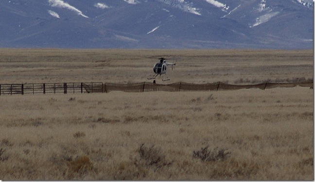 Antelope2-14 251 (2)