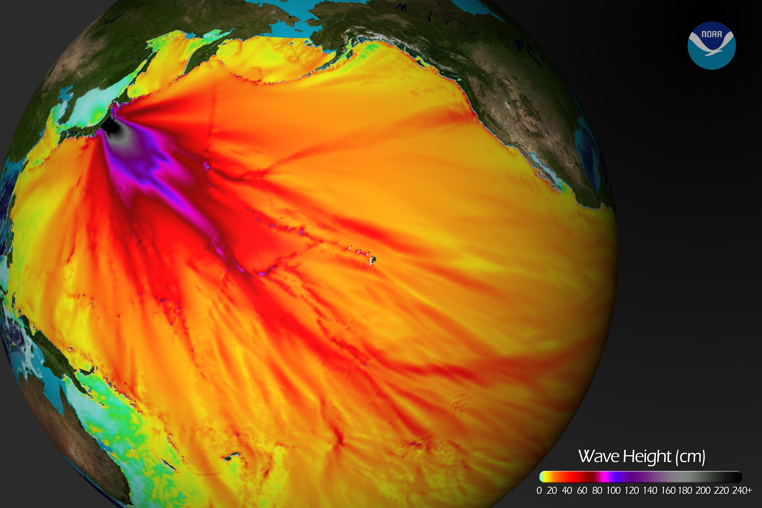 Model projections of wave heights from the Japan quake on Friday. Image from NOAA. Click image for higher resolution.