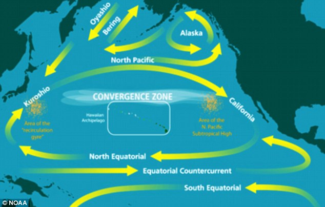 Strong: The graphic shows the currents in the Pacific Ocean that will push the debris around from Japan to the U.S. West Coast and back again