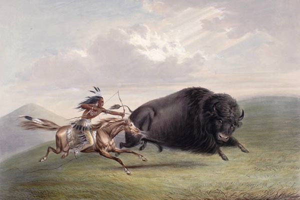 http://hnn.us/sites/default/files/7302-Buffalo_Hunt.jpg