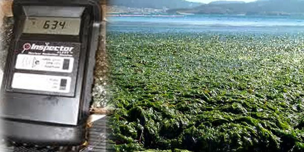 As US Seacoast Shows Signs of Fukushima Cesium Contamination, Radiation Levels Spike at the Meltdown Site