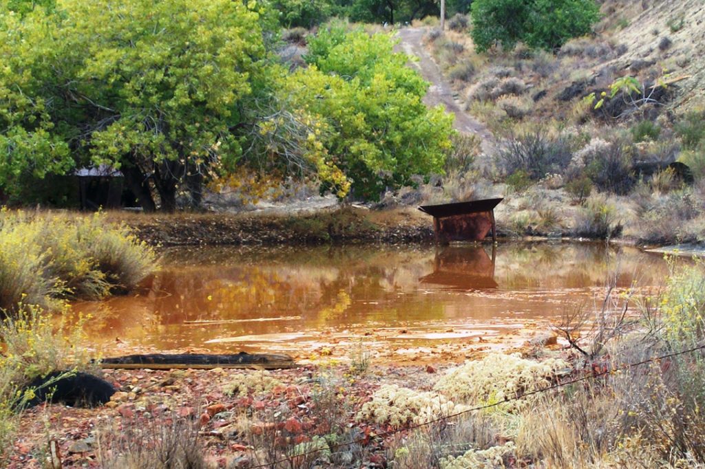 polluted water