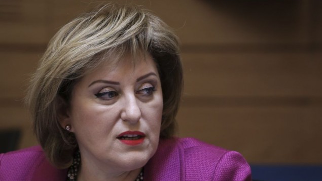 Deputy Interior Minister Faina Kirshenbaum at a Knesset Finance Committee meeting, May 19, 2014 (Hadas Parush/Flash 90)