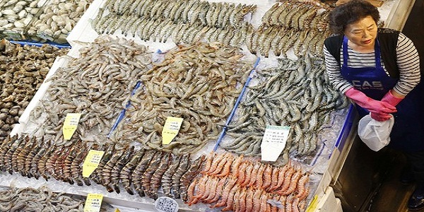 Fish Is Off the Menu in South Korea Over Radiation Fears