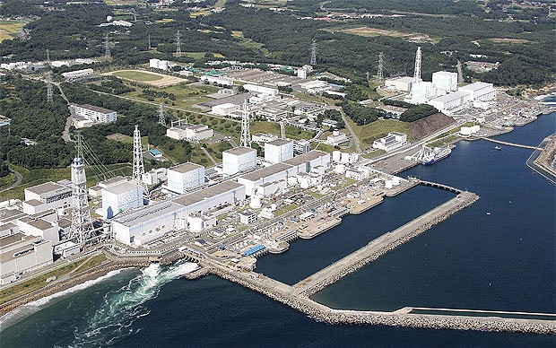 Fukushima Dai-ichi nuclear complex in Okumamachi, northern Japan: Wild monkeys to measure radiation levels in Fukushima 
