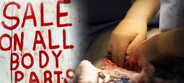Organs taken from patients that doctors were pressured to declare brain dead