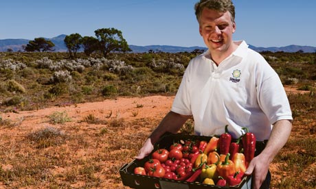 Philipp Saumweber CEO of Sundrop “perfect” produce