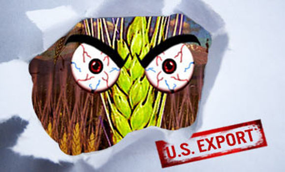 USDA Was Storing Monsanto’s Unapproved GM Wheat in Seed Vault