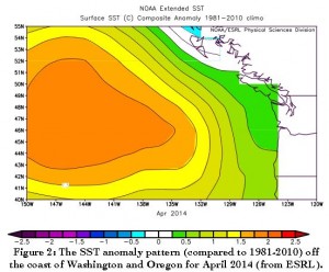 This figure shows how much warmer sea surface temperatures off the coast of Washington and Oregon were in April 2014 as compared to 1981-2010. New research finds that the long-lived patch of warm water off the West Coast, dubbed "the blob", is part of what's causing unusual weather on the East and West coasts, and affecting marine life on the West Coast.  Credit: NOAA