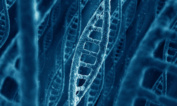 You Really Can Change Your DNA – Here’s How