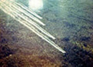 agent orange (2)