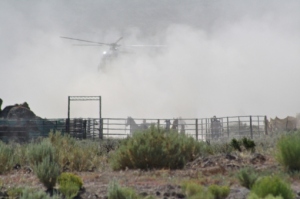 Dust and Heat