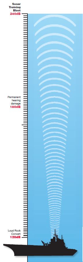 How loud is sonar?