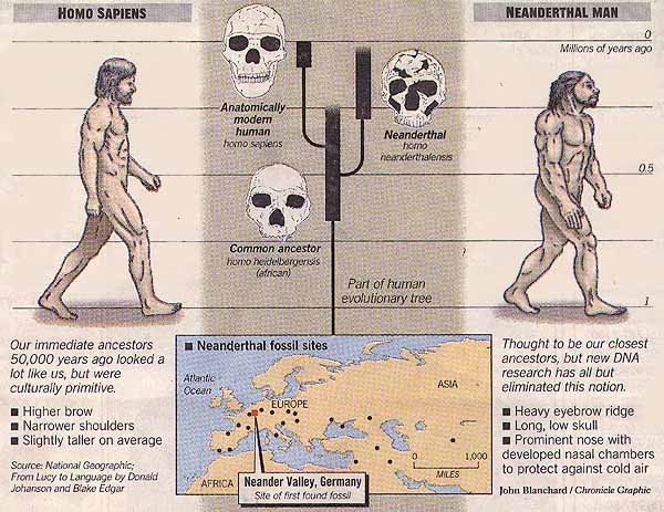 neandertable