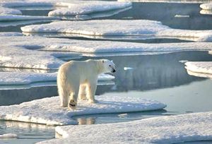The melting of the polar ice has been disastrous for wildlife but opens up new opportunities to exploit natural resources 