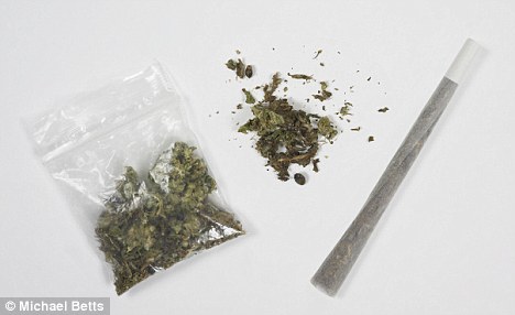 Paraphernalia: School officials suspected the seventh-grade boy of having marijuana, according to the lawsuit