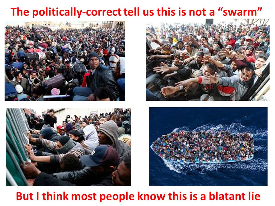 swarm