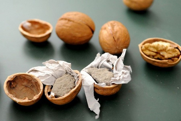 walnut04_thumb